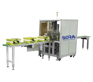 Ảnh đại diện máy lật thùng carton